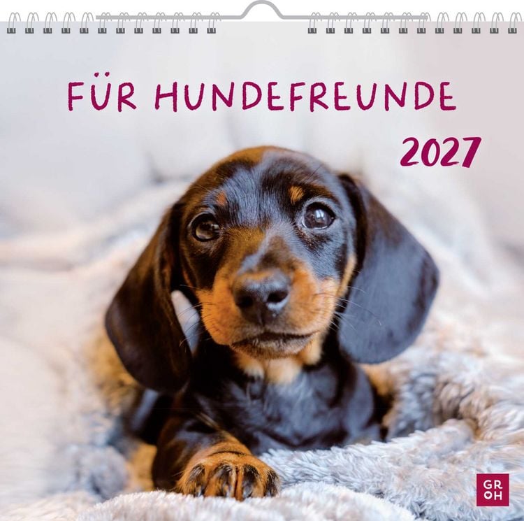 Produktbild: Wandkalender 2027: F&uuml;r Hundefreunde