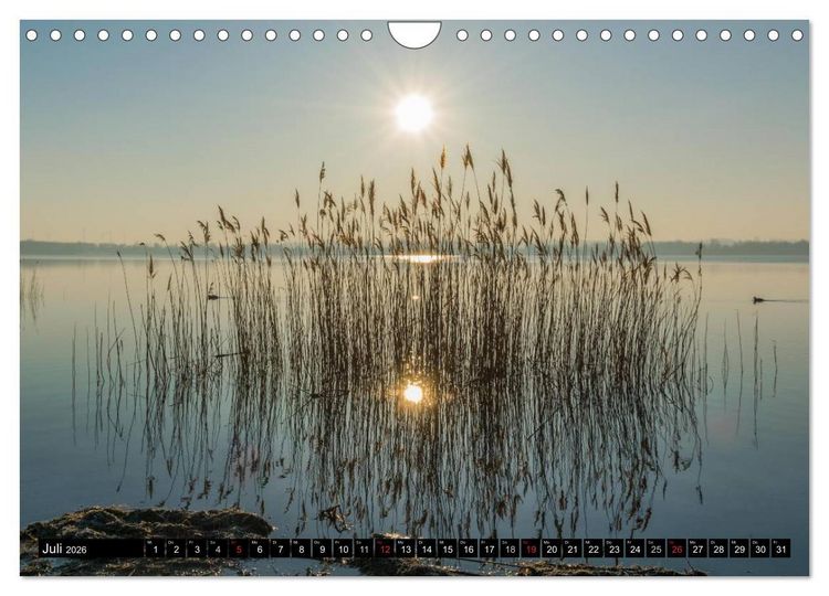 Produktbild: Immer wieder Sonnenschein (Wandkalender 2026 DIN A4 quer), CALVENDO Monatskalender