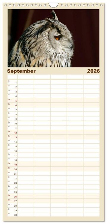 Produktbild: Familienplaner 2026 - Eulen. Gefiederte Weisheit mit 5 Spalten (Wandkalender, 21 x 45 cm) CALVENDO