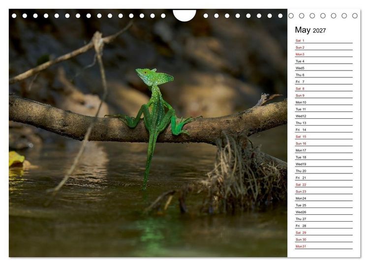 Produktbild: Feel the Wild &ndash; Costa Rica (Wall Calendar 2027 DIN A4 landscape), CALVENDO 12 Month Wall Calendar