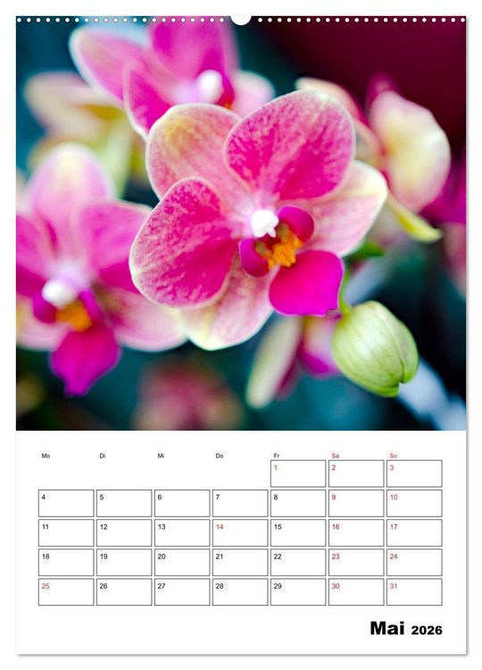 Produktbild: Orchideen - Tropische Sch&ouml;nheiten (Wandkalender 2026 DIN A2 hoch), CALVENDO Monatskalender