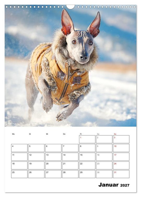 Produktbild: Xolos. Seelenhunde aus Mexiko (Wandkalender 2027 DIN A3 hoch), CALVENDO Monatskalender