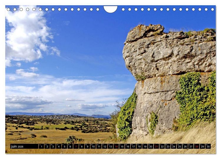 Produktbild: Collection Terre AVEYRON (Calendrier mural 2026 DIN A4 vertical), CALVENDO calendrier mensuel