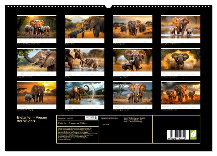 Produktbild: Elefanten - Riesen der Wildnis (hochwertiger Premium Wandkalender 2026 DIN A2 quer), Kunstdruck in Hochglanz