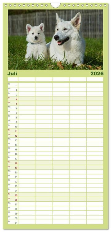 Produktbild: Familienplaner 2026 - Wei&szlig;er Schweizer Sch&auml;ferhund - Ein Tag im Leben einer Hundefamilie mit 5 Spalten (Wandkalender, 21 x 45 cm) CALVENDO