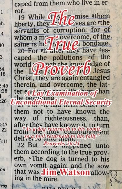 Produktbild: The True Proverb - A Lay Examination of Unconditional Eternal Security