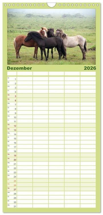 Produktbild: Familienplaner 2026 - Charakterk&ouml;pfe Islandpferde mit 5 Spalten (Wandkalender, 21 x 45 cm) CALVENDO