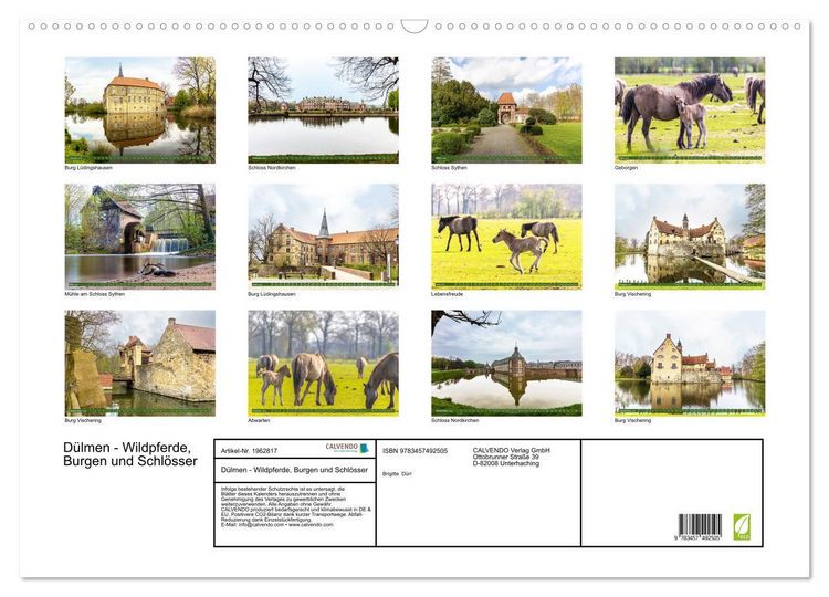 Produktbild: D&uuml;lmen - Wildpferde, Burgen und Schl&ouml;sser (Wandkalender 2026 DIN A2 quer), CALVENDO Monatskalender