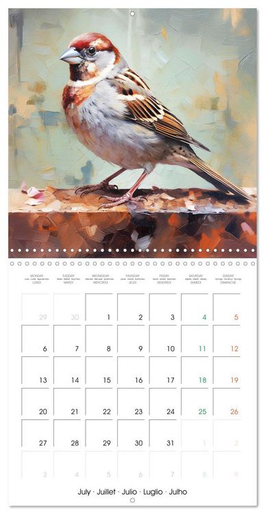 Produktbild: Ailes en sc&egrave;ne (Calendrier mural carr&eacute; 2026 30x30 cm) Calendrier double avec une page pour vos prises de notes