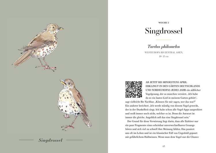 Produktbild: Der Gesang der V&ouml;gel