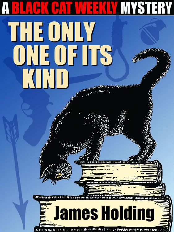 Produktbild: The Only One of Its Kind