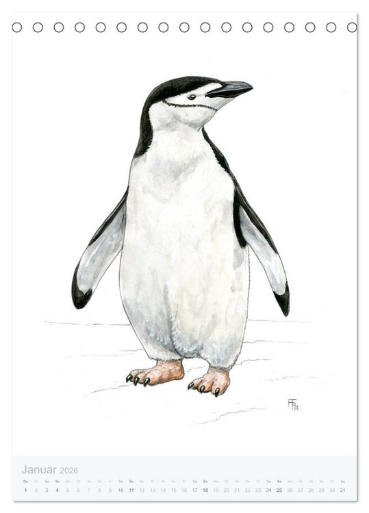 Produktbild: Pinguine - 13 Illustrationen (Tischkalender 2026 DIN A5 hoch), CALVENDO Monatskalender