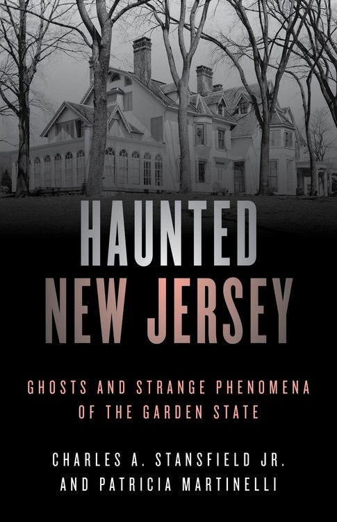 Produktbild: Haunted New Jersey