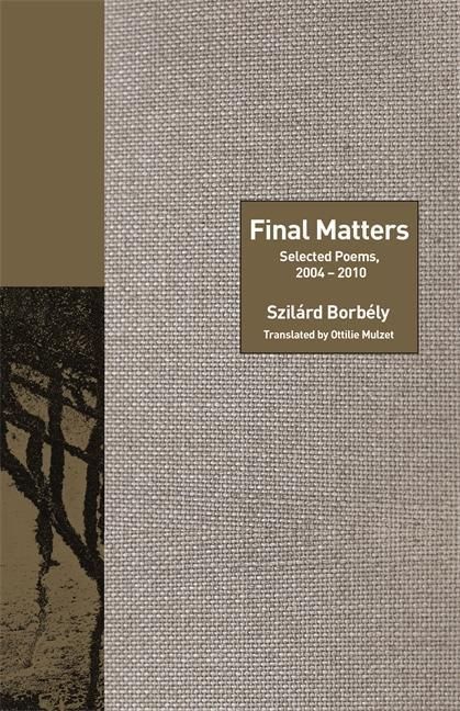 Produktbild: Borbely, S: Final Matters