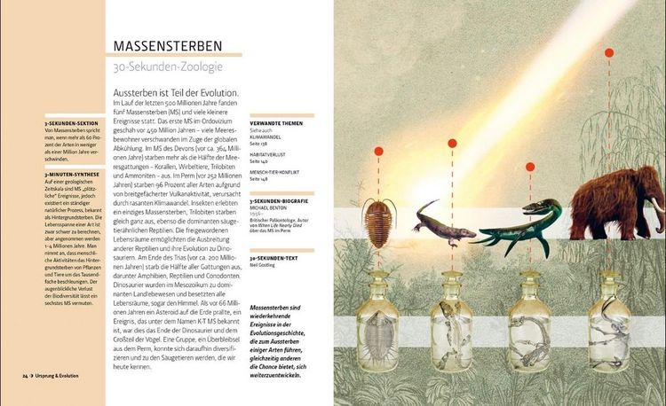 Produktbild: Zoologie in 30 Sekunden
