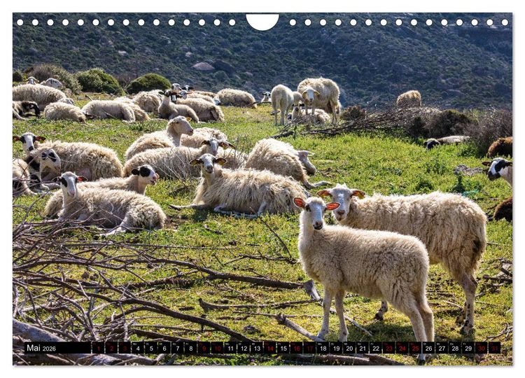 Produktbild: Ostkreta - Zwischen Sitia und Ierapetra (Wandkalender 2026 DIN A4 quer), CALVENDO Monatskalender