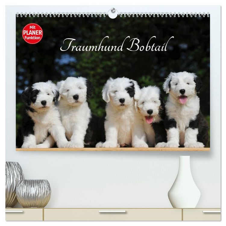 Produktbild: Traumhund Bobtail (hochwertiger Premium Wandkalender 2026 DIN A2 quer), Kunstdruck in Hochglanz