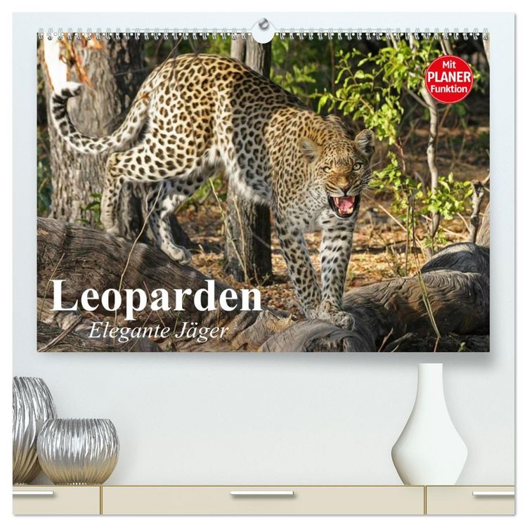 Produktbild: Leoparden. Elegante J&auml;ger (hochwertiger Premium Wandkalender 2026 DIN A2 quer), Kunstdruck in Hochglanz