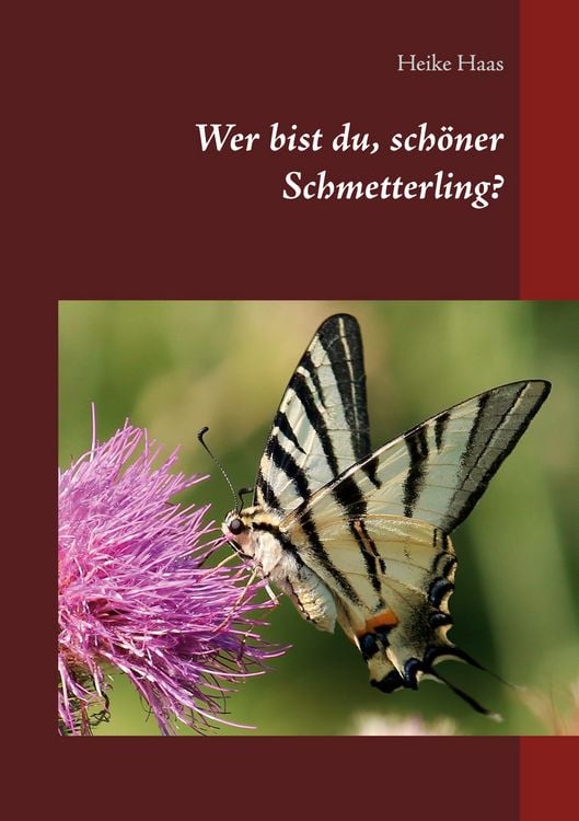 Produktbild: Wer bist du, sch&ouml;ner Schmetterling?
