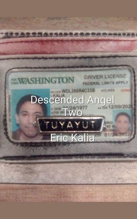 Produktbild: Descended Angel Book Two