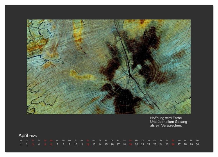 Produktbild: MAGIE HOLZ 2026 (Wandkalender 2026 DIN A4 quer), CALVENDO Monatskalender