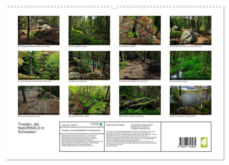 Produktbild: Tiveden, der NatURWALD in Schweden (hochwertiger Premium Wandkalender 2026 DIN A2 quer), Kunstdruck in Hochglanz