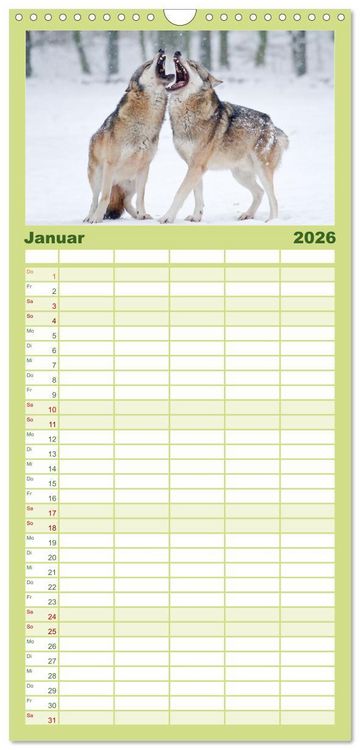 Produktbild: Familienplaner 2026 - Magie Heimische Natur mit 5 Spalten (Wandkalender, 21 x 45 cm) CALVENDO