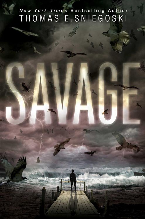 Produktbild: Savage