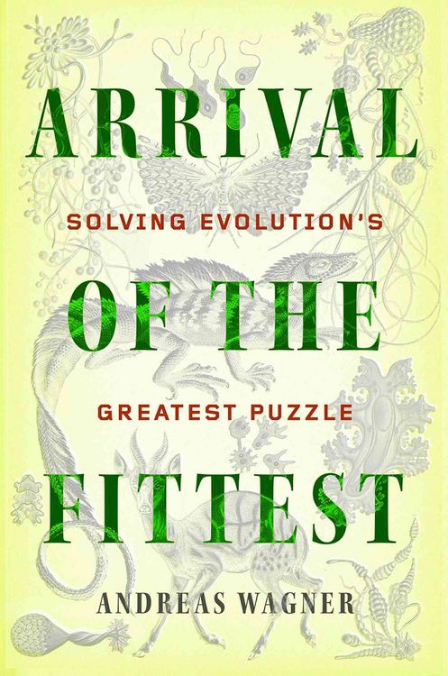 Produktbild: Arrival Of The Fittest