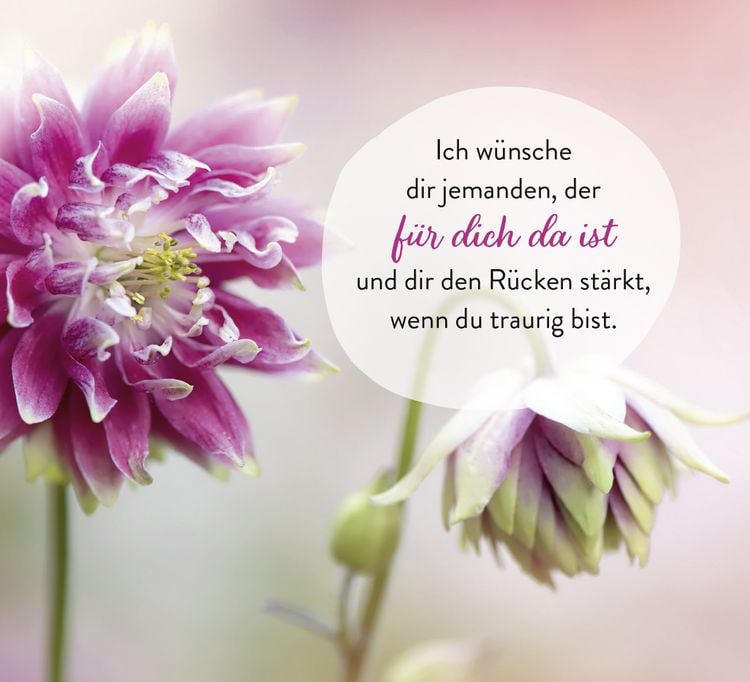 Produktbild: Was ich dir w&uuml;nsche f&uuml;r jeden Tag
