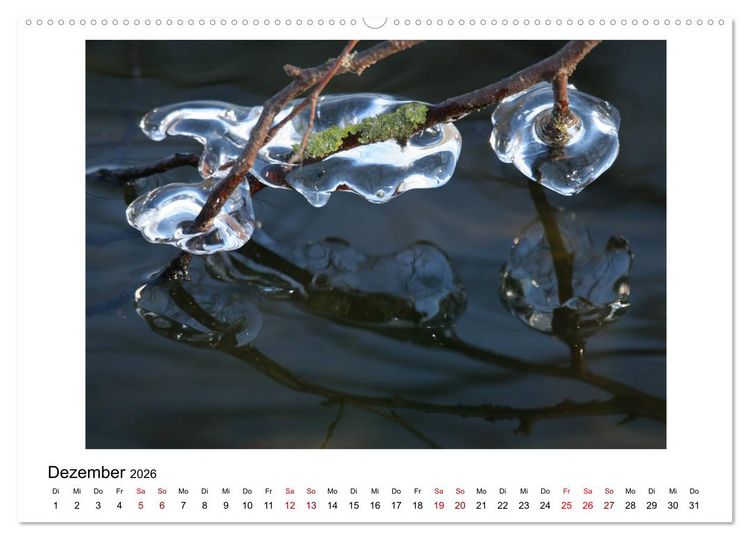 Produktbild: Nymphenburger Park (hochwertiger Premium Wandkalender 2026 DIN A2 quer), Kunstdruck in Hochglanz