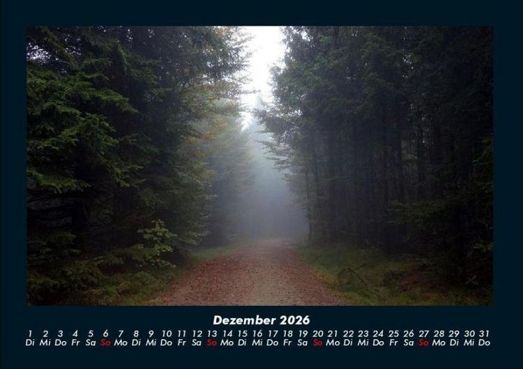 Produktbild: Waldzauber 2026 Fotokalender DIN A4