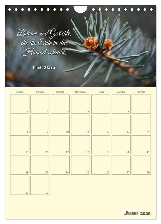 Produktbild: Gartenliebe (Wandkalender 2026 DIN A4 hoch), CALVENDO Monatskalender