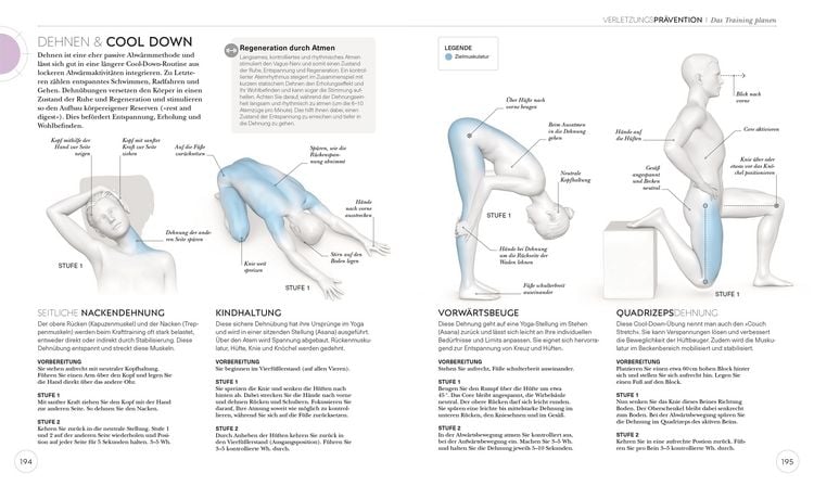 Produktbild: Krafttraining &ndash; Die Anatomie verstehen
