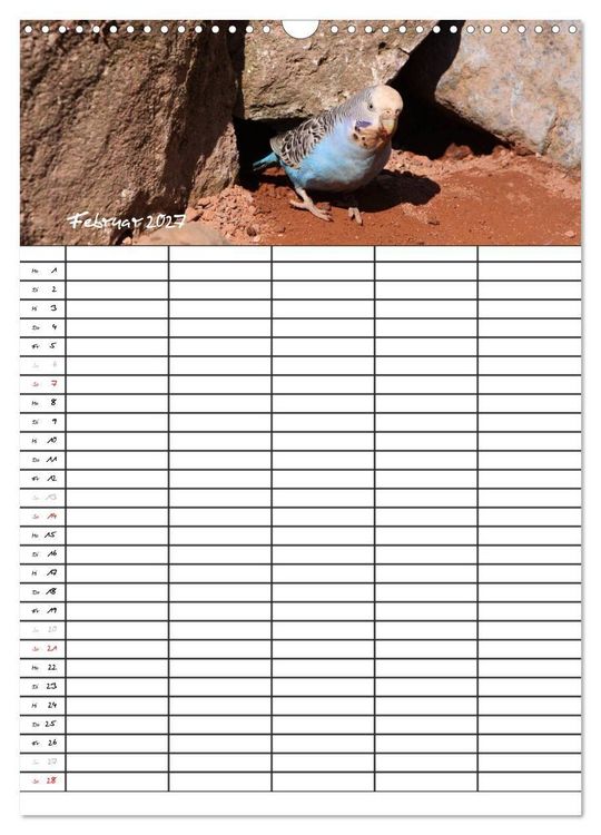 Produktbild: Wellensittiche (Wandkalender 2027 DIN A3 hoch), CALVENDO Monatskalender