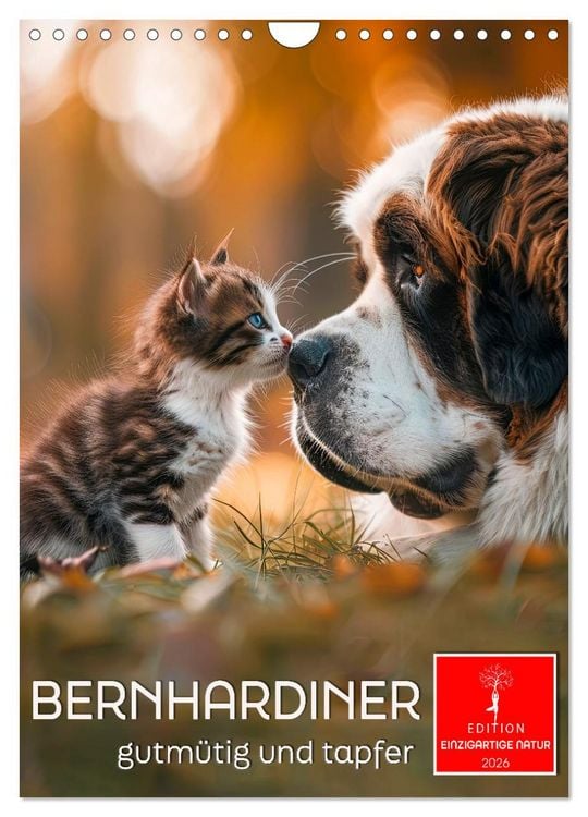 Produktbild: Bernhardiner - gutm&uuml;tig und tapfer (Wandkalender 2026 DIN A4 hoch), CALVENDO Monatskalender
