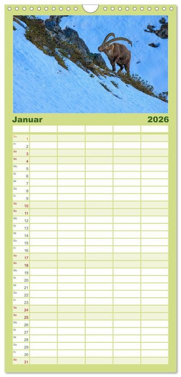 Produktbild: Familienplaner 2026 - Steinbock - K&ouml;nig der Alpen mit 5 Spalten (Wandkalender, 21 x 45 cm) CALVENDO