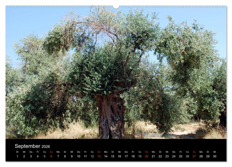 Produktbild: Griechenland - Insel Thassos (Wandkalender 2026 DIN A2 quer), CALVENDO Monatskalender