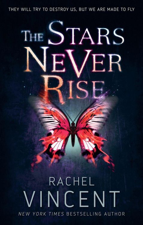 Produktbild: The Stars Never Rise