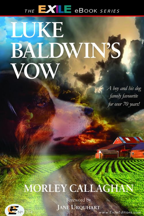 Produktbild: Luke Baldwin's Vow