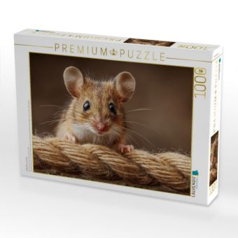Produktbild: CALVENDO Puzzle S&uuml;&szlig;e Maus auf Seil | 1000 Teile Lege-Gr&ouml;&szlig;e 64x48cm Foto-Puzzle f&uuml;r gl&uuml;ckliche Stunden