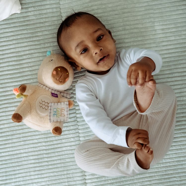 Produktbild: Kuscheltier Capybara Hello little One"