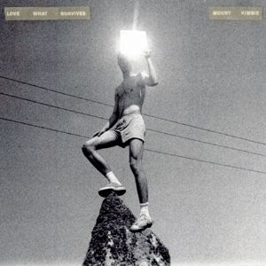 Produktbild: Love What Survives