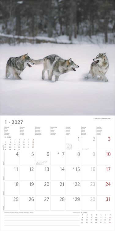 Produktbild: W&ouml;lfe 2027