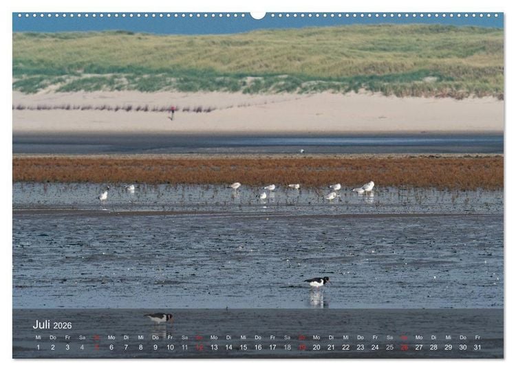 Produktbild: Texel - Meine Insel (hochwertiger Premium Wandkalender 2026 DIN A2 quer), Kunstdruck in Hochglanz