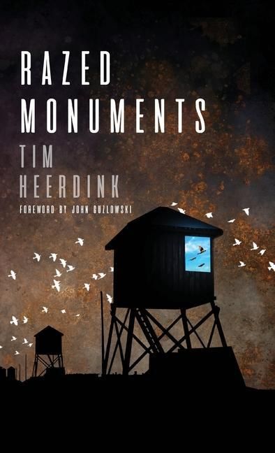 Produktbild: Razed Monuments