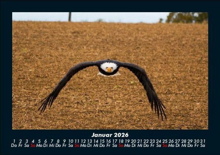 Produktbild: Adler 2026 Fotokalender DIN A5