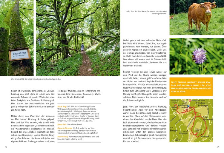 52 kleine & große Eskapaden in und um Freiburg