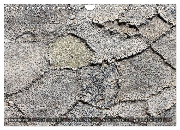 Produktbild: Krustenflechten - Pioniere auf Fels (Wandkalender 2026 DIN A4 quer), CALVENDO Monatskalender