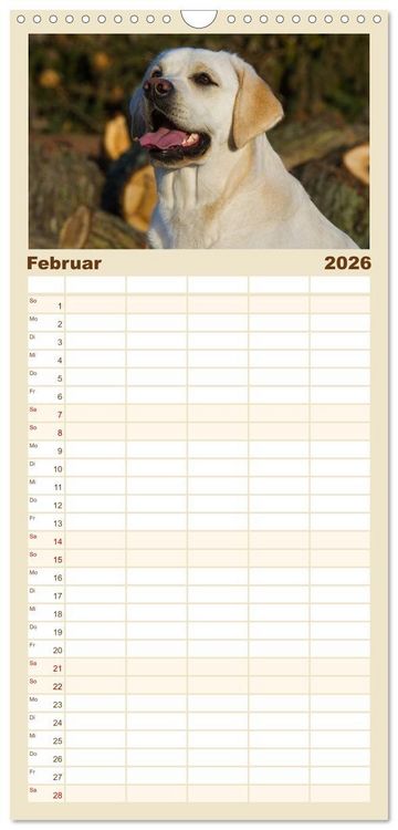 Produktbild: Familienplaner 2026 - Labrador Retriever - Freunde f&uuml;r&acute;s Leben mit 5 Spalten (Wandkalender, 21 x 45 cm) CALVENDO
